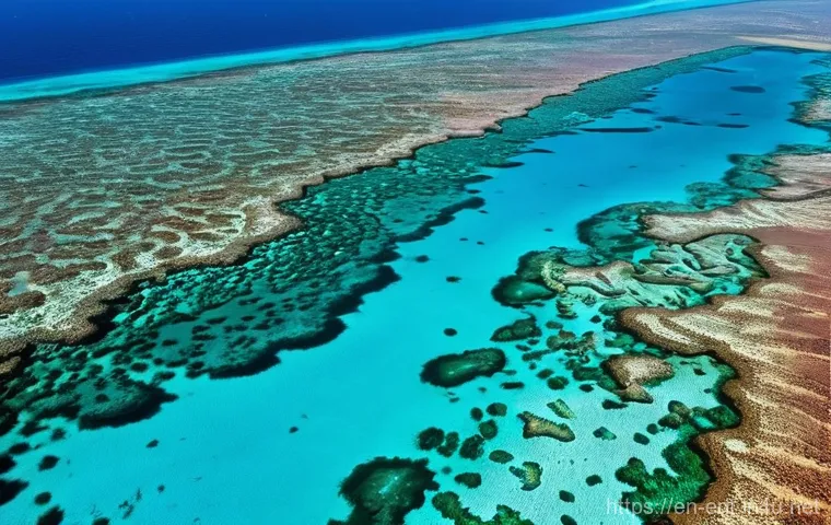 에리트레아 해양 보호 - Here are three detailed image prompts in English, adhering to all the specified guidelines for gener...