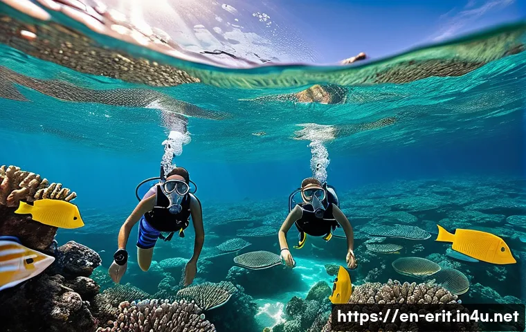 에리트레아로의 가족 여행 관련 이미지 2